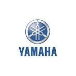Yamaha YZF-R6, 06-07
